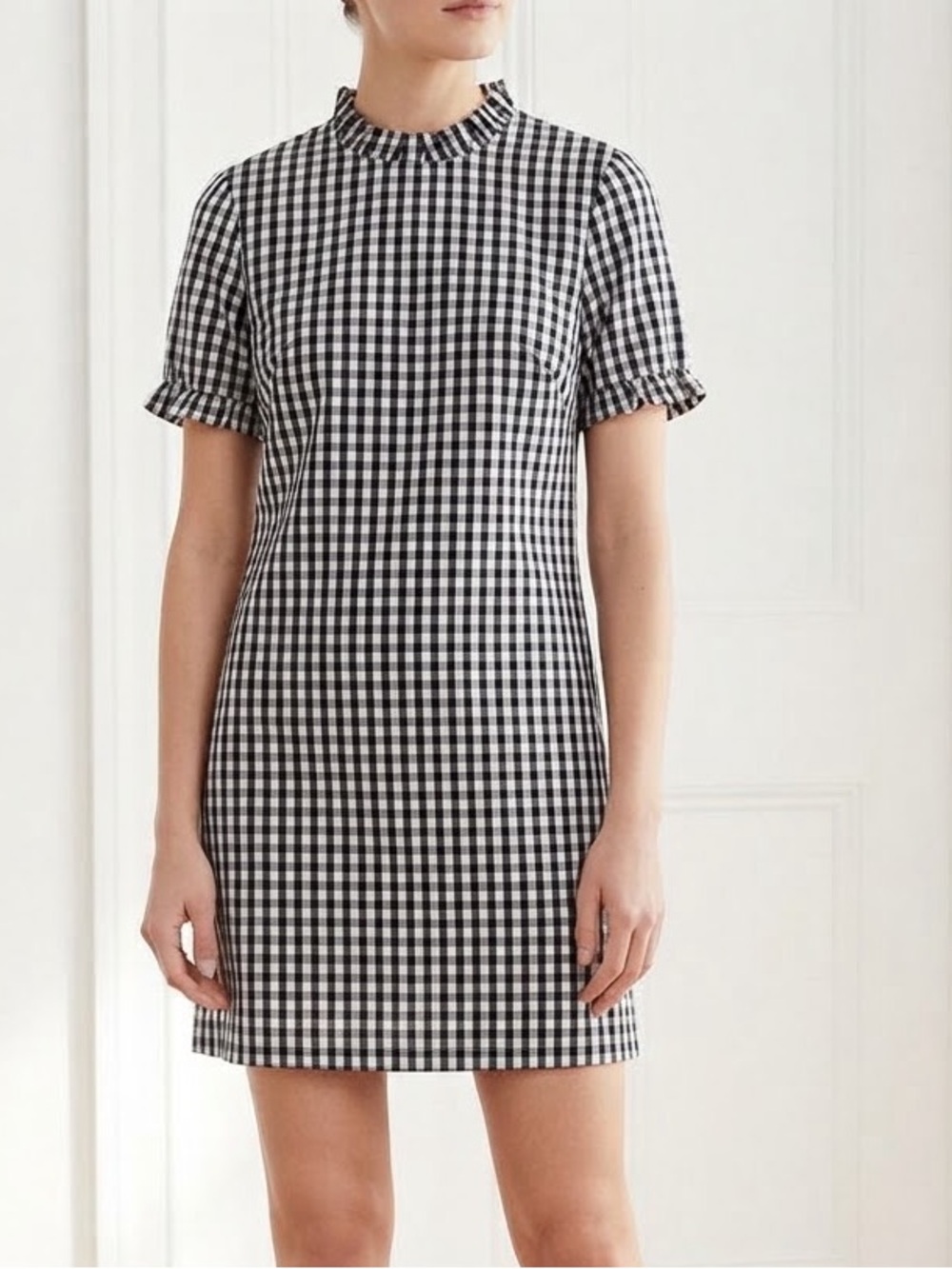 Duffield Lane Black and White Gingham Ruffle Neck Dress